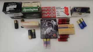 معلومات عن خرطوش فشك بنادق الصيد Shotgun Shell 