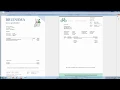 Download Lagu Factuurverwerking Elvy - SAP Business One - Asecom