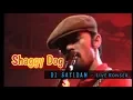 Download Lagu Shaggy dog - Di Sayidan ( Live konser jogja Pecah )