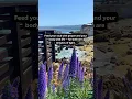 Download Lagu Knowledge and Wisdom/Feed your soul with prayer and your body with life — for both are temples of