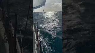 Sailing with large swell on a 34’ monohull #sailstillwater #sailing #sailingfast #sailingpassion