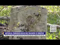 Historical commission surveying Davidson County cemetery