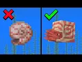 23 NEW Changes You Need To Know In Minecraft