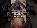 Download Lagu BAHAN ALAMI UNTUK RAMBUT RONTOK #shorts #tipsdantrik