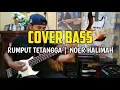 Download Lagu Rumput tetangga Noer Halimah | Bass cover