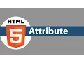 HTML5 Tutorial For Beginners 04 Tag Attribute with Value