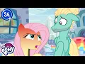 Flutter Brutter S6 EP11 My Little Pony Friendship is Magic MLP FULL EPISODE