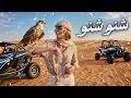 Saif Nabeel ft. Hind Ziadi - Allo Allo 2025