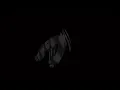Kilo Kent - 40’s (Slowed + Reverb by @PayBackBeats)
