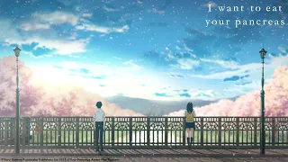 Download Sumika-春夏秋冬-Haru Natsu Akifuyu-English lyric video. MP3