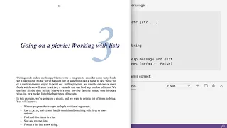 Tiny Python Projects Ch 3 Pt 1 Picnic intro