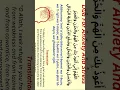 Download Lagu 24May dua for Anxiety stress,grief,depression,worry,difficulties #quran#like#subscribe mychannel#dua