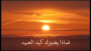 أخي أنت حر وراء السدود أخي أنت حر بتلك القيودإذا كنت بالله مستعصما فماذا يضيرك كيد العبيد 