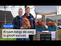Lagu Aardappelteler heeft duizenden kilo's aardappelen over | RTV Oost