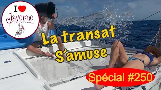 #250 La transat s’amuse