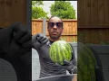 Download Lagu Injecting a watermelon with sodium + potassium (NaK) 🍉💉 #chemistry #science #experiment