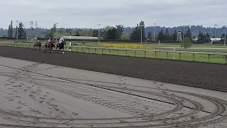 1st race of 2025 at Emerald Downs