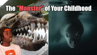The Predator We Still Can't Figure Out