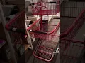 Target Fulfillment day in the life