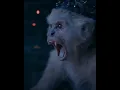 Download Lagu Lex Luthor Monkey Bots Farming Outrage ~ Superman 2025 #superman #superman2025