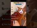 Download Lagu Best Cat Prank Moments!