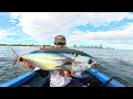 Lagu Catching the Elusive Bluefin Tuna in Melbourne, Australia