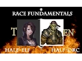 5e Fundamentals - Races Half-Elf and Half-Orc In-Depth