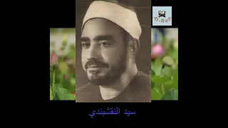 الشيخ سيد النقشبندي    إلهي    دندنها