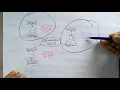 Distributed database Introduction Distributed Systems Lec-64 Bhanu Priya