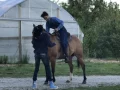 May 2017 NY Iowa trip