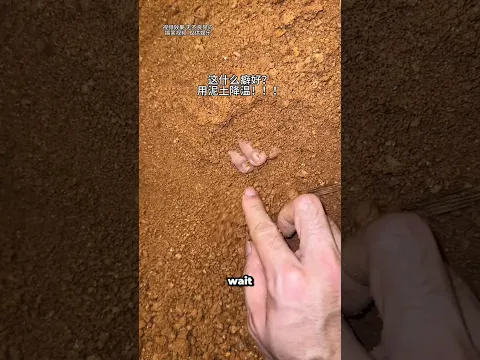 Rio Is Sleeping Under the Dirt?! 😂😱