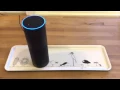 IBM Blue Voice - on Echo