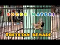 Download Lagu SOGON MATERI || TRETETAN KEMADE COCOK BUAT MASTERAN