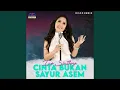 Download Lagu Cinta Bukan Sayur Asem (Disco Remix)