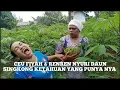 Download Lagu Usum ngijih Ceu fiyah Vs Ceu Renren neangan suung \u0026 ngunder 😀