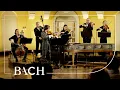Lagu Bach - Violin Concerto in E major BWV 1042 - Sato | Netherlands Bach Society