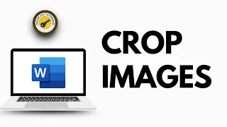 How to Crop Image in Microsoft Word Document