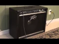 Peavey Amp for Sale