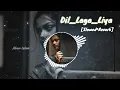 Download Lagu Dil_laga_liya [Slowed+Reverb]song.hindiLyrics song.Lo-Fi music and lyrics song