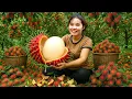 Download Lagu Harvest GIANT RAMBUTAN to sell at the market with single mom