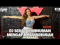 Download Lagu GARA GARA SEBOTOL MINUMAN X DJ BIDDY