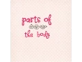 Body Parts Flash Cards High speed frequency