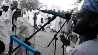 محمد مصطفي الحامدابي  محمد مصطفي الحامدابي
