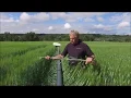 Bio-Agtive Crop Talk Part 1