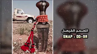 عود شيلة عاش الوطن عاشت المهره 