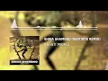 Download Lagu Shanti People - Shiva Shambho (Vertigos Remix)