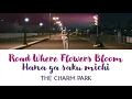 Download Lagu THE CHARM PARK - 花が咲く道 (Hana ga saku michi) [kanji|rom|eng lyrics]