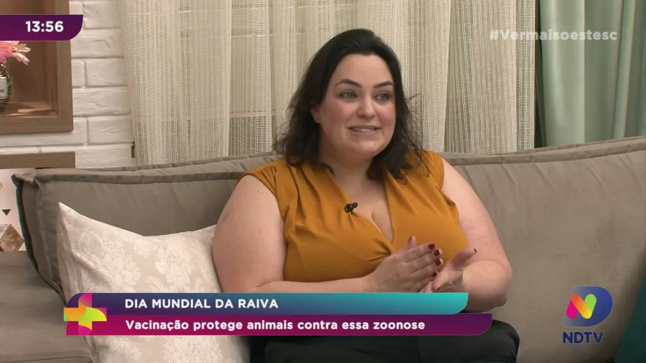Dia Mundial Contra a Raiva: vacinação protege animais contra essa zoonose