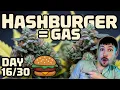 This HASHBURGER Strain Is STRAIGHT GAS JK Distro Review Day
