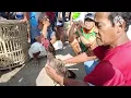 Download Lagu Berjumpa pak waji.. Sang legenda perayaman..!! Ayam nya laku jutaan rupiah..??? 